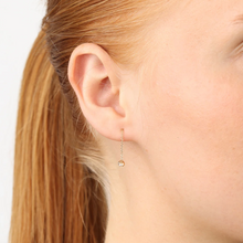 Load image into Gallery viewer, Jill Crystal Chain Earrings Stainless Steel