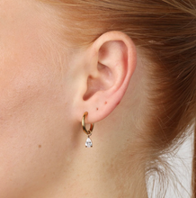 Load image into Gallery viewer, Elle Crystal Hoop Earrings Stainless Steel