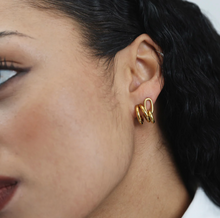 Load image into Gallery viewer, Heylin Double Hoop Earrings Stainless Steel