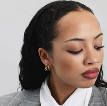 Load image into Gallery viewer, Heylin Double Hoop Earrings Stainless Steel