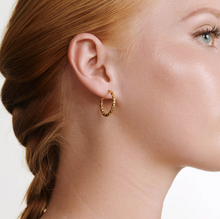 Load image into Gallery viewer, Kahla Structure Hoop Earrings Stainless Steel