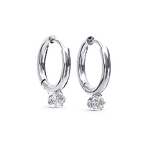 Load image into Gallery viewer, Oline Crystal Hoop Earrings Stainless Steel