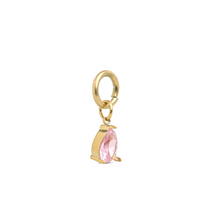Load image into Gallery viewer, Wren Crystal Charm Stainless Steel