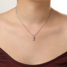 Load image into Gallery viewer, Eilora Dolphin Necklace Stainless Steel