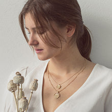 Load image into Gallery viewer, Clover Plate Necklace