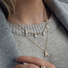 Load image into Gallery viewer, Chrystal Letter Necklace Stainless Steel