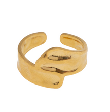 Load image into Gallery viewer, Lyse - Organic Shaped Ring Stainless
