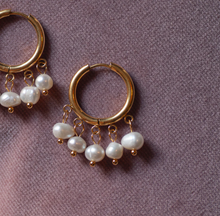 Load image into Gallery viewer, Estelle - Pearl Hoop Earrings
