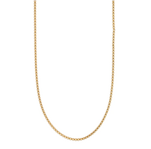 Load image into Gallery viewer, Xia Petite Chain Necklace Stainless Steel
