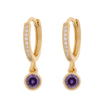 Load image into Gallery viewer, Dina Purple Crystal Hoop Earrings
