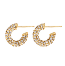 Load image into Gallery viewer, Zuri Crystal Hoop Earrings
