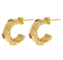 Load image into Gallery viewer, Camille Red Crystal Hoop Earrings
