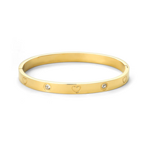 Load image into Gallery viewer, Gia Crystal Heart Bangle Bracelet Stainless Steel
