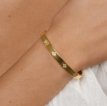 Load image into Gallery viewer, Liv Crystal Clover Bangle Stainless Steel
