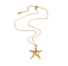 Load image into Gallery viewer, Malin Mini Starfish Necklace
