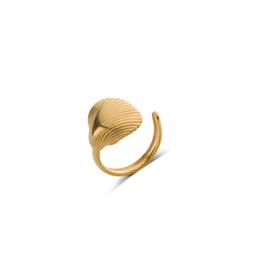 Ane Seashell Open Ring Stainless Steel