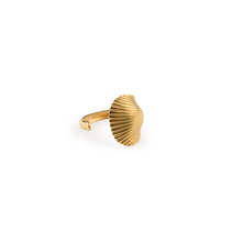 Load image into Gallery viewer, Ane Seashell Open Ring Stainless Steel
