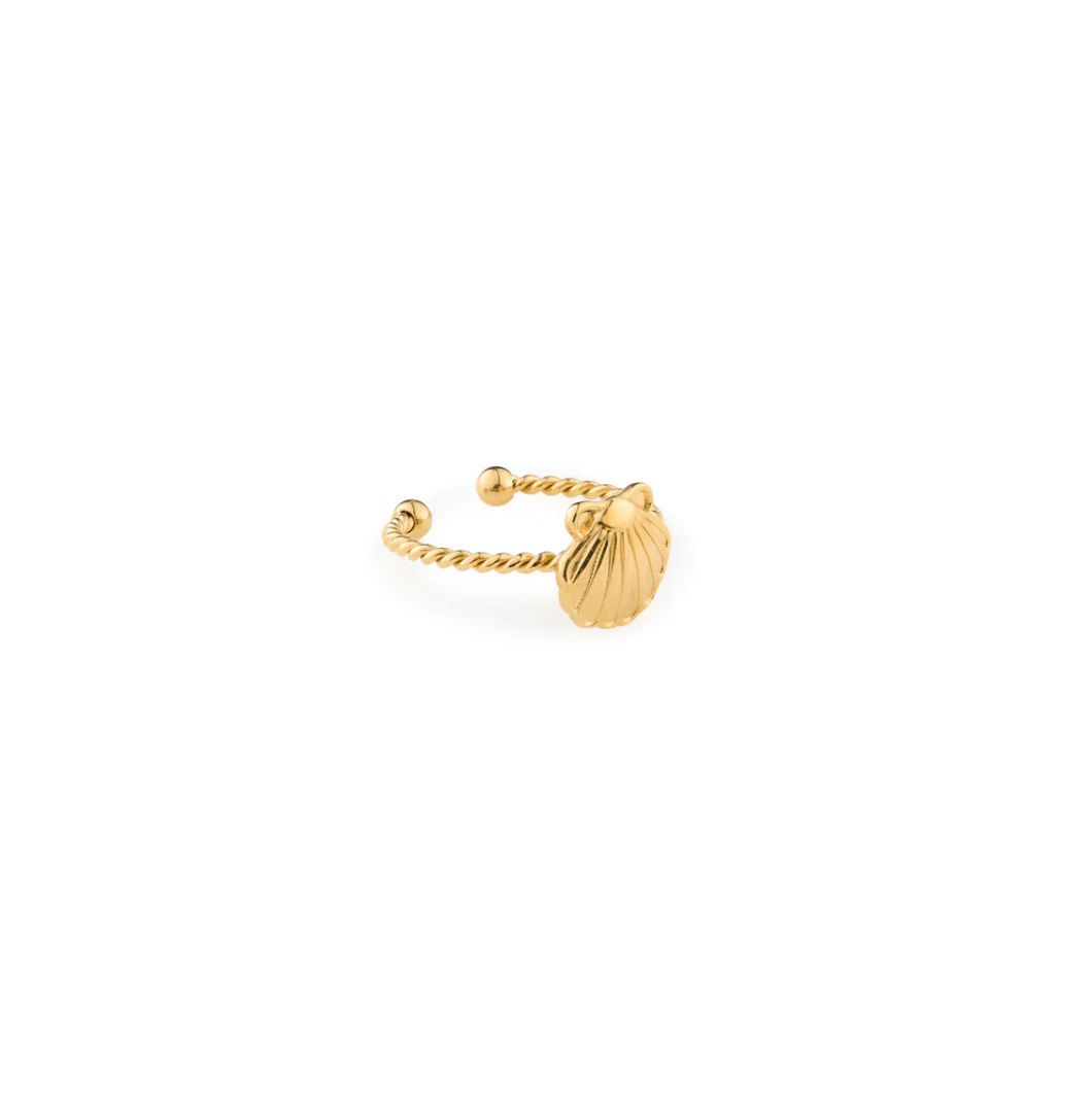 Penny Seashell Adjustable Ring Stainless Steel