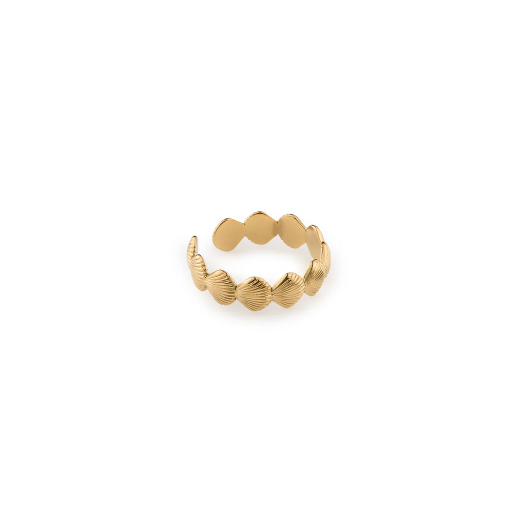 Ane Seashell Adjustable Ring Stainless Steel