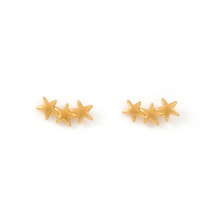 Load image into Gallery viewer, Skylar Star Climber Mini Earrings Stainless Steel
