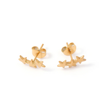 Load image into Gallery viewer, Skylar Star Climber Mini Earrings Stainless Steel
