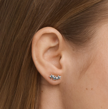 Load image into Gallery viewer, Skylar Star Climber Mini Earrings Stainless Steel
