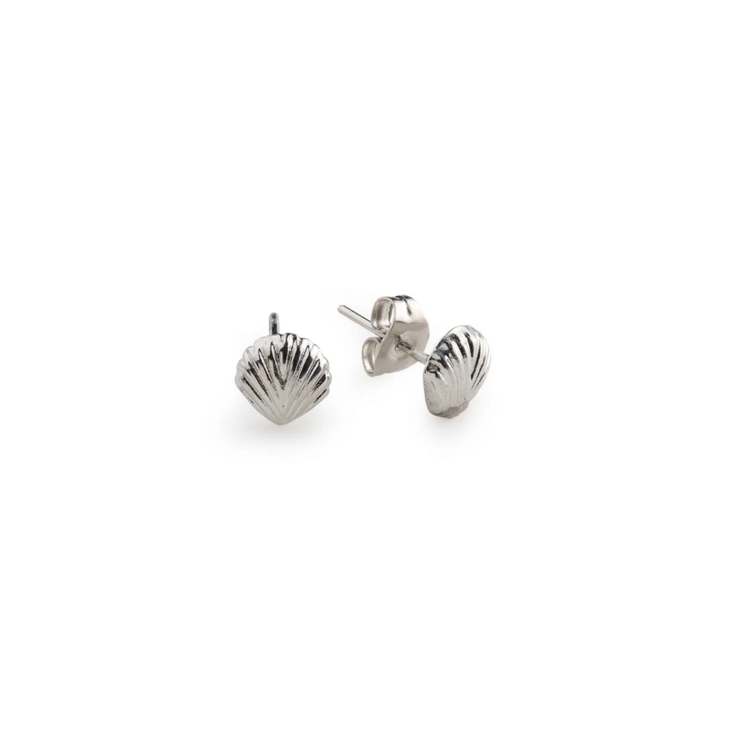 Ane Seashell Stud Earrings Stainless Steel