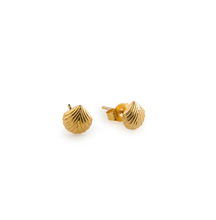 Load image into Gallery viewer, Ane Seashell Stud Earrings Stainless Steel
