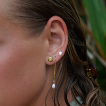 Load image into Gallery viewer, Ane Seashell Stud Earrings Stainless Steel
