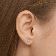 Load image into Gallery viewer, Lori Mini Turtle Stud Earrings
