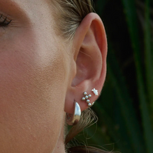 Load image into Gallery viewer, Lori Mini Turtle Stud Earrings

