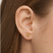 Load image into Gallery viewer, Solana Mini Starfish Stud Earrings
