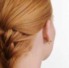 Load image into Gallery viewer, Wild Star Hoop Earrings
