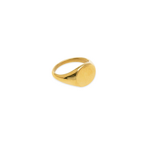 Load image into Gallery viewer, Ian Signet Ring Stainless Steel

