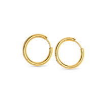 Load image into Gallery viewer, Hollie Hoop Earrings 13MM Stainless Steel
