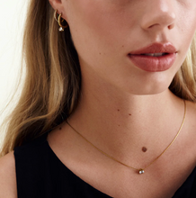 Load image into Gallery viewer, Lynne Crystal Necklace Stainless Steel
