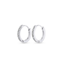 Load image into Gallery viewer, Nilea Crystal Hoop Earrings Stainless Steel
