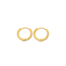 Load image into Gallery viewer, Nilea Crystal Hoop Earrings Stainless Steel
