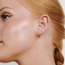 Load image into Gallery viewer, Nilea Crystal Hoop Earrings Stainless Steel
