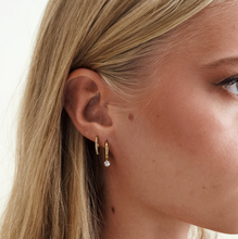 Load image into Gallery viewer, Nilea Crystal Hoop Earrings Stainless Steel
