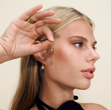 Load image into Gallery viewer, Roslyn Crystal Stud Earrings Stainless Steel
