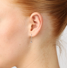 Load image into Gallery viewer, Jill Crystal Chain Earrings Stainless Steel
