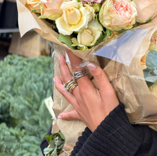 Load image into Gallery viewer, Kristina Crystal Stacked 5 Rings Stainless Steel
