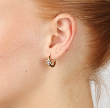 Load image into Gallery viewer, Helia Crystal Hoop Earrings Stainless Steel
