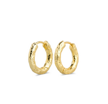 Load image into Gallery viewer, Hildur Organic Hoop Earrings Stainless Steel
