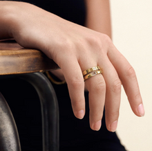 Load image into Gallery viewer, Emelyn Crystal Ring Stainless Steel
