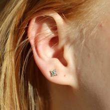 Load image into Gallery viewer, Hera Crystal Stud Earrings Stainless Steel
