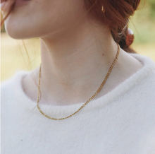 Load image into Gallery viewer, Hedda Chain Necklace Stainless Steel
