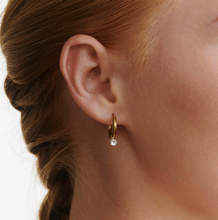 Load image into Gallery viewer, Oline Crystal Hoop Earrings Stainless Steel
