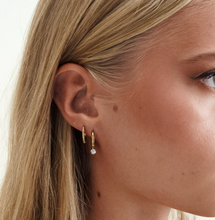 Load image into Gallery viewer, Oline Crystal Hoop Earrings Stainless Steel
